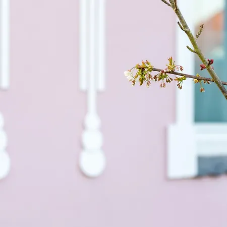 Villarosa Wilhelmshaven